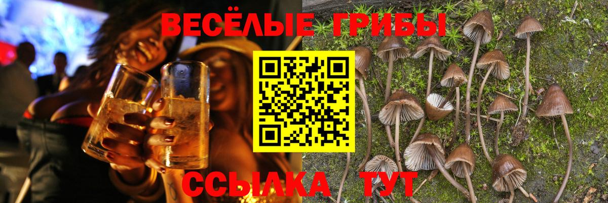 Псилоцибиновые грибы Psilocybine cubensis  Вход с VPN  Сальск 